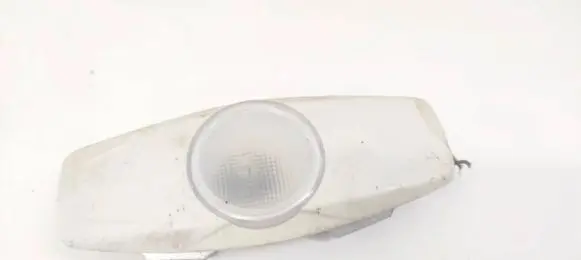 Ford Focus Rear seat light