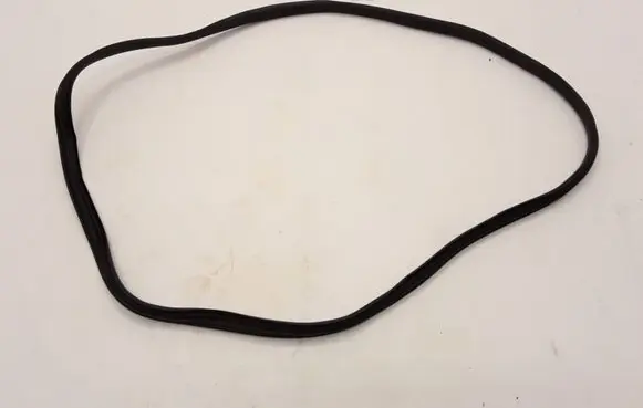 Dacia Duster II Rear door rubber seal (on body) 769244867R