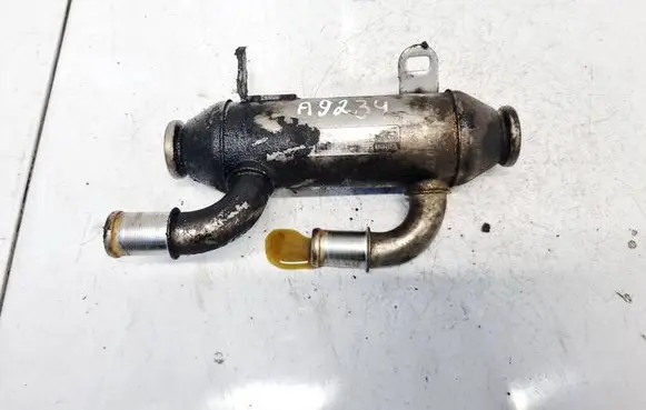 EGR valve cooler