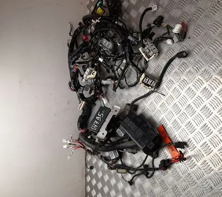 Tesla Model S Other wiring loom 100442801N
