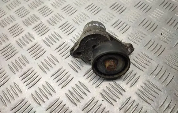 Opel Vivaro Generator/alternator belt tensioner 117507568R