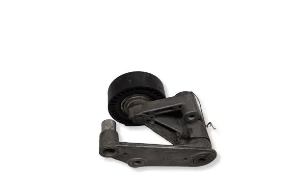 BMW 5 E39 Generator/alternator belt tensioner F2106852 17226189