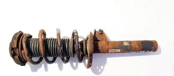 Volkswagen Golf V Front shock absorber/damper 1k0413031be