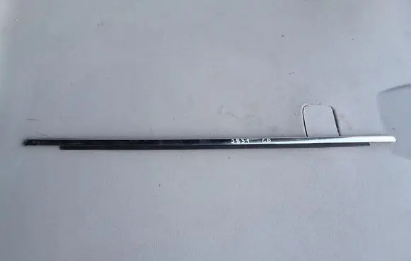 Ford Focus Rear door trim (molding)