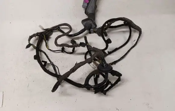 Front door wiring loom