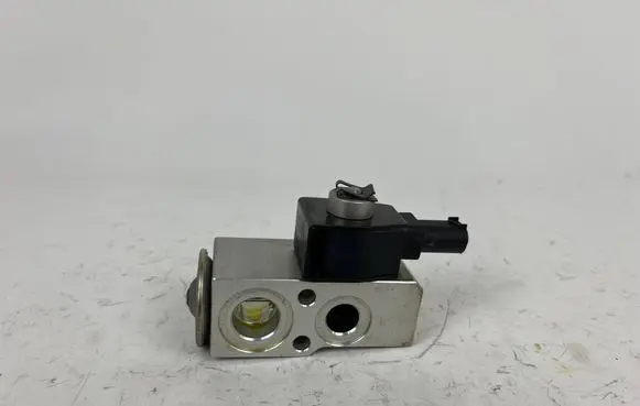 Tesla Model 3 Air conditioning (A/C) expansion valve 110187800A