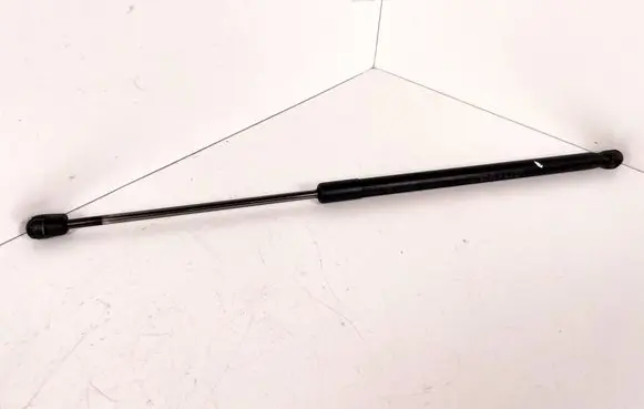 Tailgate/trunk strut/damper