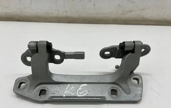 Mini Clubman F54 Tailgate/trunk/boot hinge 7438737