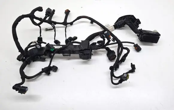 Engine installation wiring loom