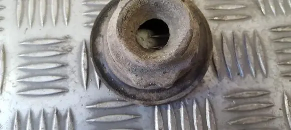 Coil spring mount