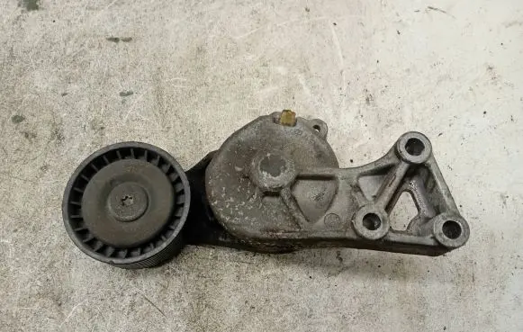 Seat Alhambra (Mk1) Generator/alternator belt tensioner 038903315