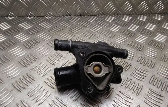 Thermostat/thermostat housing