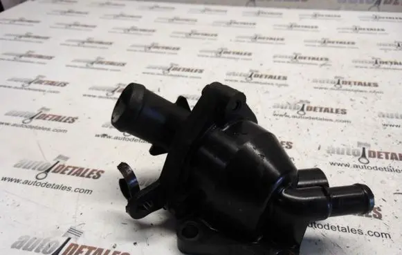Thermostat/thermostat housing