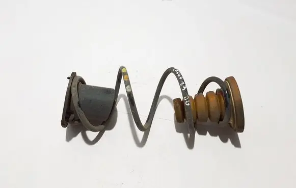 Renault Kangoo III Rear coil spring 550202763R