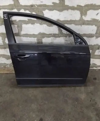 Volkswagen PASSAT B6 Front door