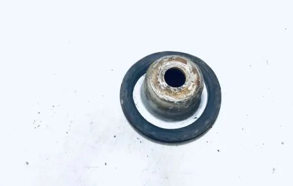 Coil spring mount