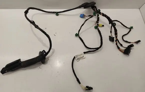 Volkswagen PASSAT B8 Front door wiring loom 3G1971121H