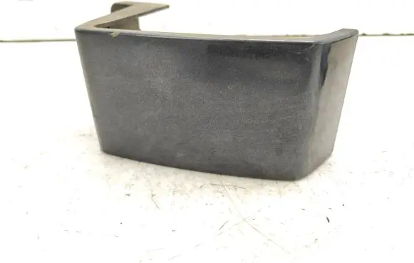 Rear/tail light trim molding