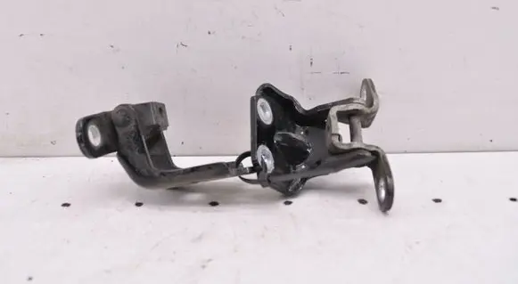 KIA Optima Rear door lower hinge