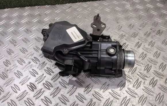 Renault Trafic III (X82) Throttle valve A2C53350932 A2C84198300 H8201374868