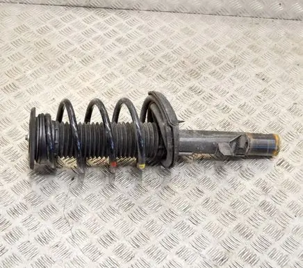 Ford C-MAX II Front shock absorber/damper AV6118K001ACE
