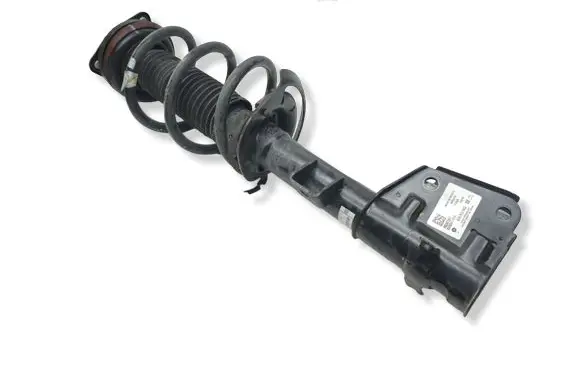 Chrysler Pacifica Front shock absorber with coil spring P68248729AD
