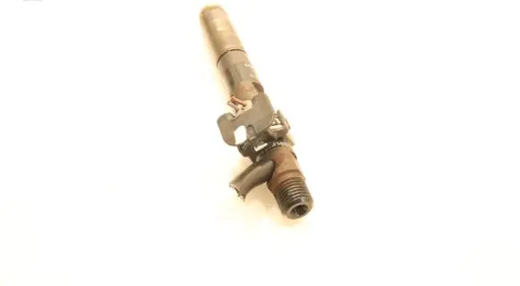 Renault Clio III Fuel injector H8200827965
