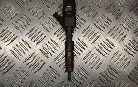 Suzuki Grand Vitara II Fuel injector 8200389369 0445110230
