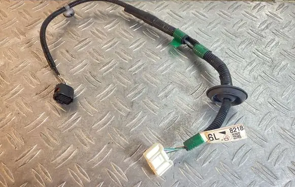 Other wiring loom