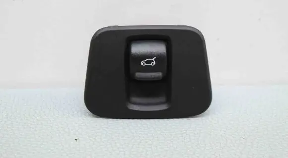 Mini Cooper Countryman R60 Tailgate/boot open switch button 7411891