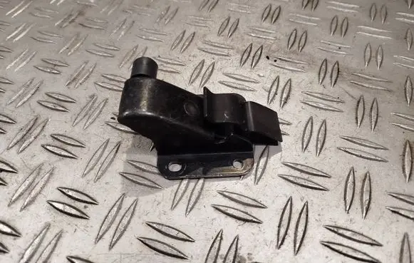 Renault Master IV Rear door check strap stopper 824312136R