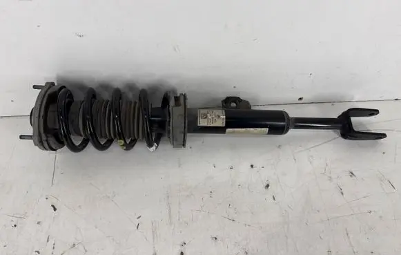 Alfa Romeo Stelvio Front shock absorber with coil spring 50553432