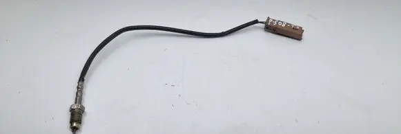 Peugeot 508 Exhaust gas temperature sensor 9665090280