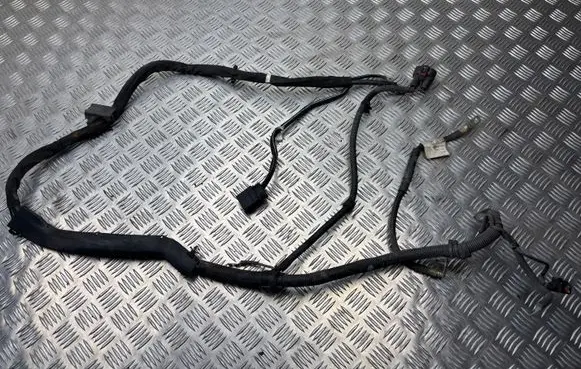 Audi A5 8T 8F Wires (generator/alternator) 8K0971824 K98K8240 8K0971228T