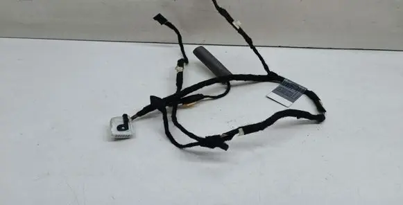 BMW 7 E65 E66 Front door wiring loom 6913135