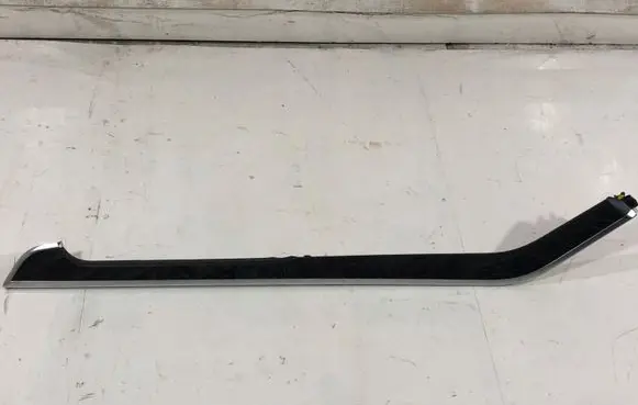 Audi A8 S8 D5 Front door trim (molding) 4N1863916G |0000000000