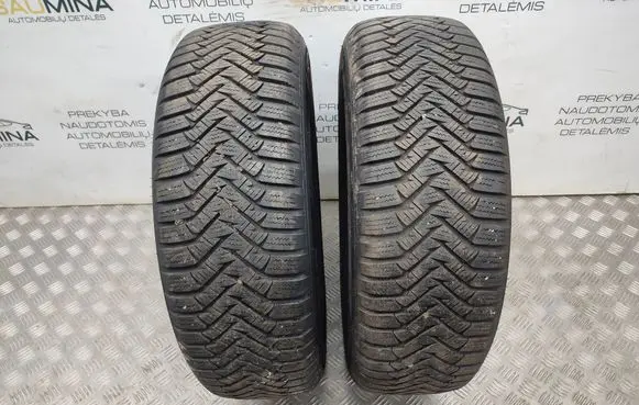 Volkswagen PASSAT B7 R15 winter tire 19565R15