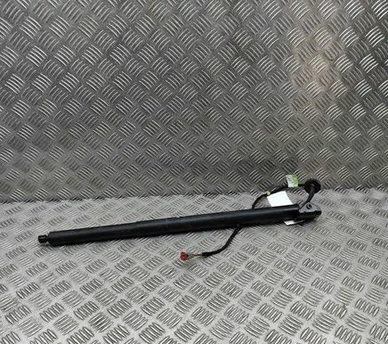 Tailgate/trunk strut/damper