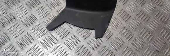 Rear/tail light trim molding