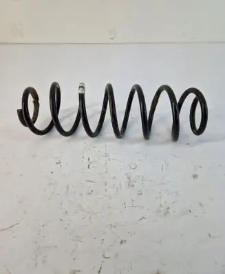Rear coil spring