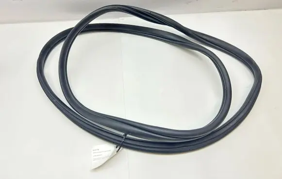 Hyundai Ioniq 5 Rear door rubber seal (on body) 