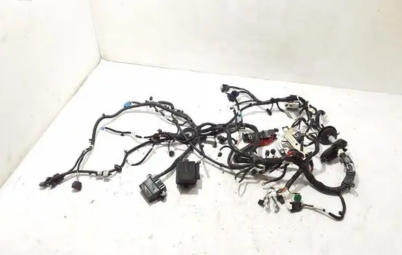 Renault Megane E-Tech Other wiring loom 240189100V