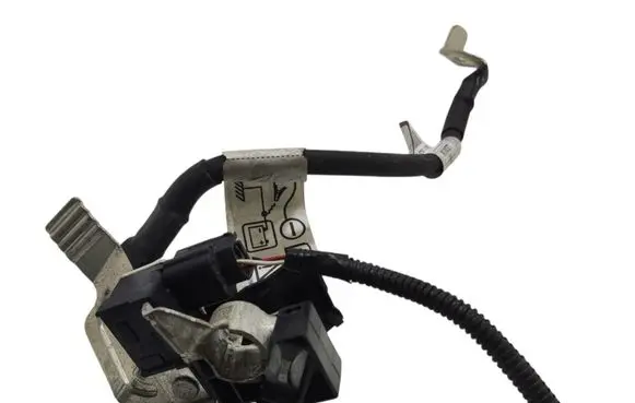 Dacia Sandero III Negative earth cable (battery) 250320499R