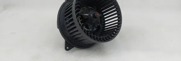 Ford Focus Heater fan/blower 99000019 8EW009160701