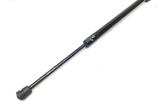 Ford Escape IV Tailgate/trunk strut/damper LJ6BS406A10AE