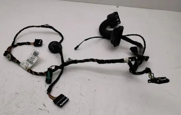 Front door wiring loom