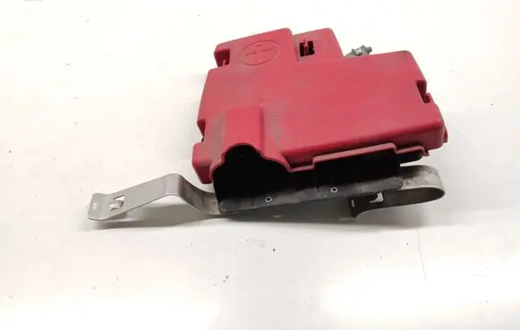 Renault Kangoo II Positive wiring loom 