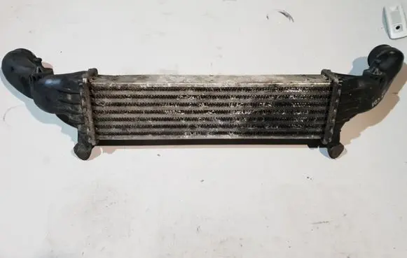 Mercedes-Benz C W202 Intercooler radiator A2025001100