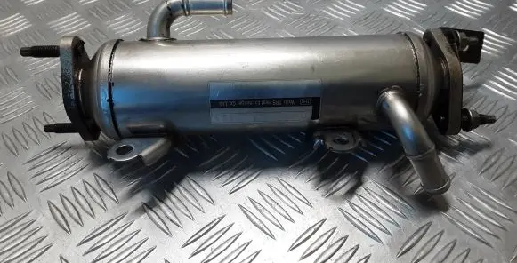 Chevrolet Captiva EGR valve cooler