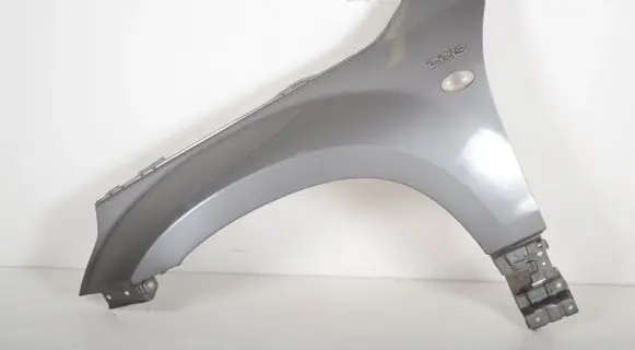 Suzuki Grand Vitara II Fender